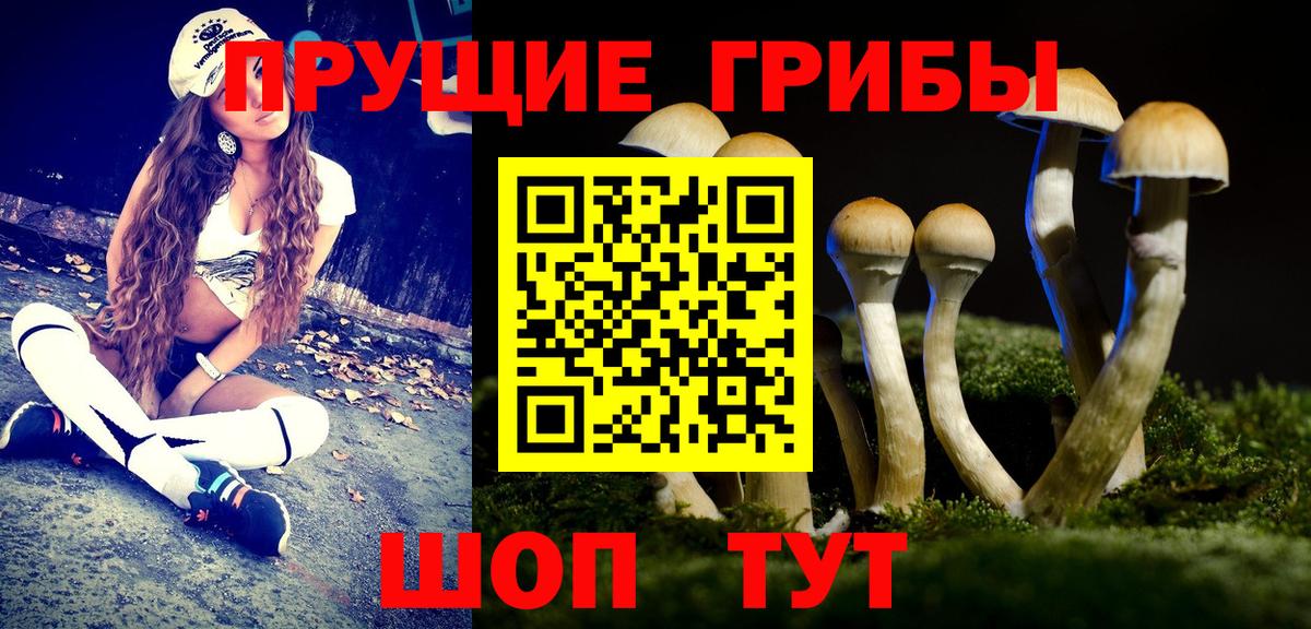 Галлюциногенные грибы Magic Shrooms Ковров