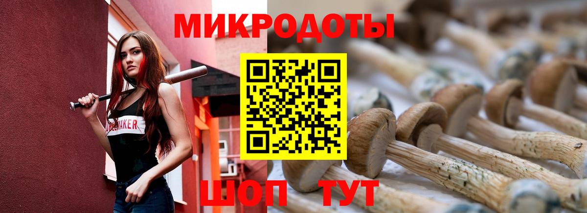 Галлюциногенные грибы GOLDEN TEACHER  Вход с VPN  Ковров 